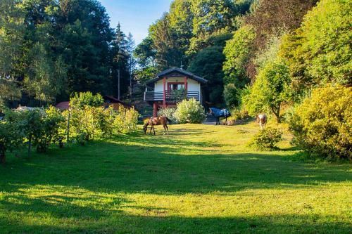Viesnīcas āriene, Sorti Alpaca by Lago Reisen in Montegrino Valtravaglia