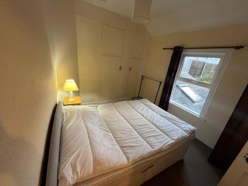 The village of ballisodare in 伍德敦洛奇