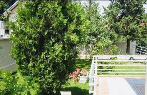 An excellent house for rent in quiet area, Skopje (zdjęcie 5)