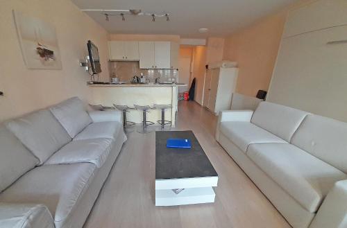Charmant studio Deauville, proche plage avec parking privé - Location saisonnière - Deauville