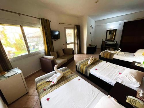 Naama Inn Hotel in Sharm El Sheikh