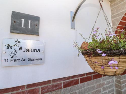 Jaluna, St Ives (fotografie 3)