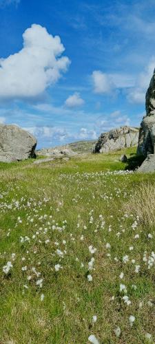 Vista exterior, Simple Cabin With Sea Views On Utsira Island in Utsira