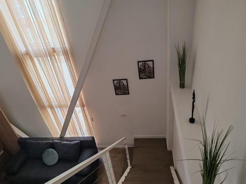 One-Bedroom Apartment image 2