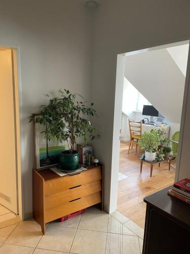 Cozy apartment in Munich, Munich (photo 8)