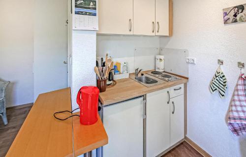 virtuve, Ferienwohnung Wusterhusen in Wusterhusen