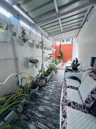 DIVINA AMORE Guest House in Shillong