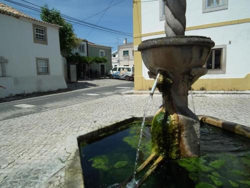 Casa Da Palma - image 2