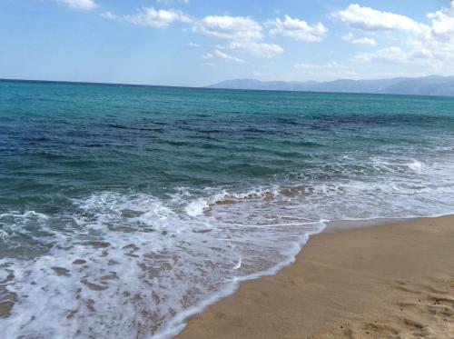 卢斯中提琴住宿加早餐旅馆