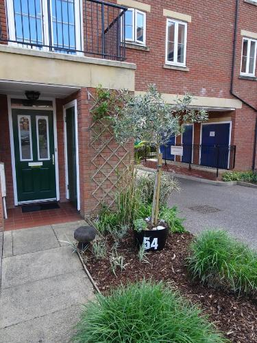 Gras Lawn B&B - Accommodation - Exeter