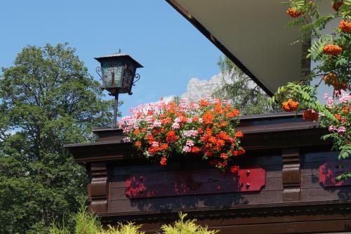 Pension Dachsteinhof - image 13