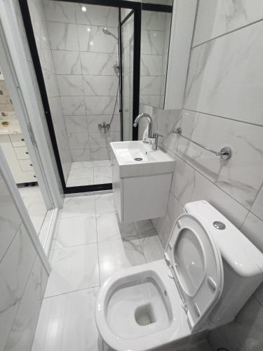 One-Bedroom Apartment image 4