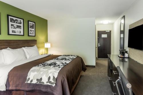 King Room - Accessible/Non-Smoking