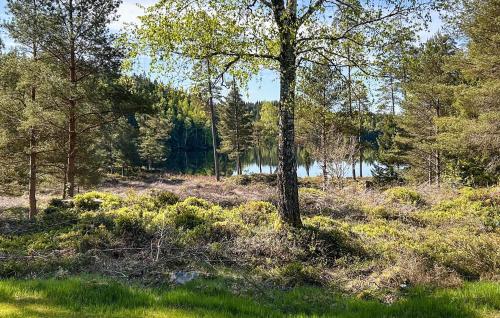 Skats, Radjuret in Fegen