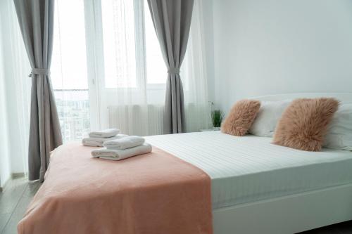 Palas Mall Apartment City View – khách sạn tại Podu Ros