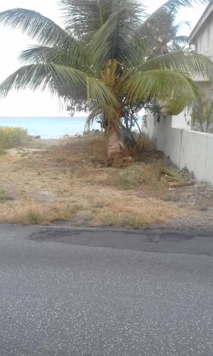 Cozy Suite Wifi Ac in Bedroom & 1 Minute Walk to West Coast Beach! - image 5