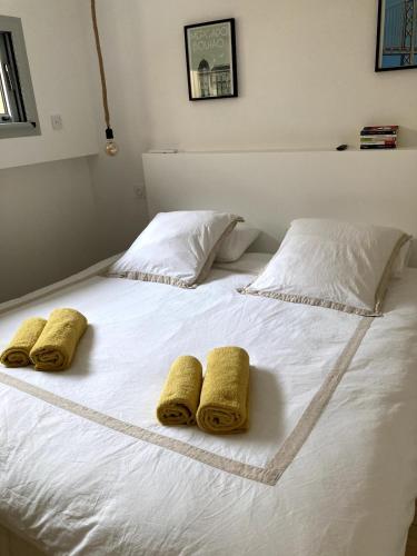 Echoppe bordelaise , maison entière, Bordeaux (Foto 8)