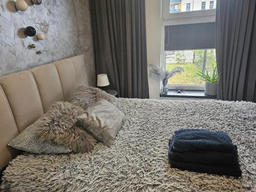 Przytulny apartament in Borkowo Lostowickie