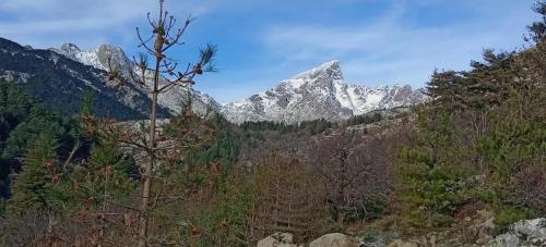 Viesnīcas āriene, Charmante maison avec vue sur la montagne à Albertacce (Charmante maison avec vue sur la montagne a Albertacce) in Albertacce