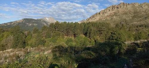 Viesnīcas āriene, Charmante maison avec vue sur la montagne à Albertacce (Charmante maison avec vue sur la montagne a Albertacce) in Albertacce