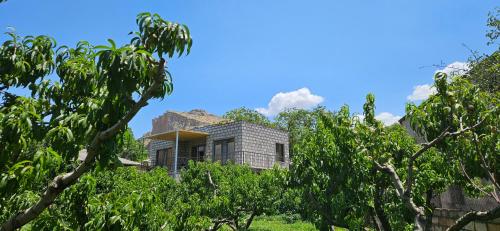 Arevot Ojakh in Areni