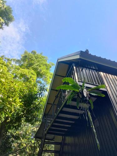 สถานีน้ำหวาน รีสอร์ท น้ำตกอ้ายเขียว in Phrom Khiri