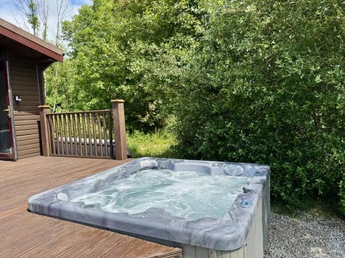 Willow Lodge Falmouth - image 12