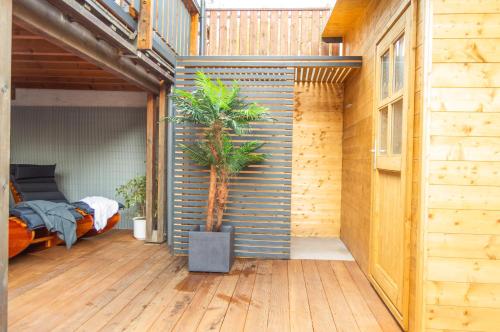 Ferienwohnung Wellnessblick - Nähe Triberger Wasserfälle (Ferienwohnung Wellnessblick - Nahe Triberger Wasserfalle) in Triberg Town Center