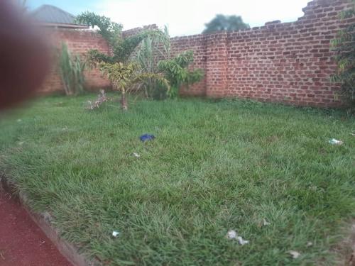 Lynton Cave and Camp in Iganga