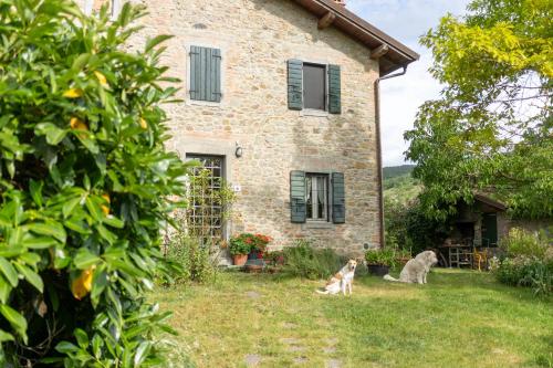 Cá Pradella - Harmony and Nature, Bed & Breakfast (Ca Pradella - Harmony and Nature, Bed & Breakfast) in 蒙特倫齊奧