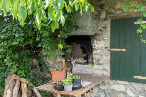 Cá Pradella - Harmony and Nature, Bed & Breakfast (Ca Pradella - Harmony and Nature, Bed & Breakfast) in 蒙特倫齊奧