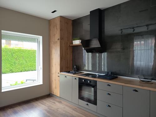 Apartments Vidanovic in Lagadin