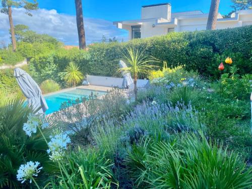 Appartement vue mer piscine - Location saisonnière - La Teste-de-Buch