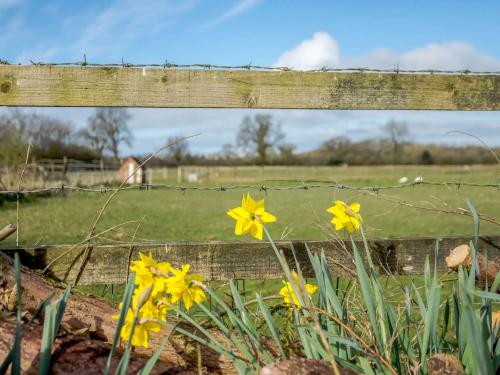 Létesítmények, 2 Bed in Wells 00452 in Ashwick