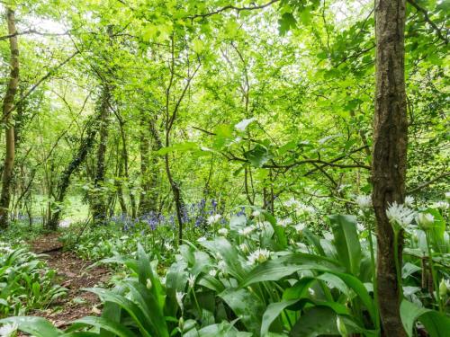 Létesítmények, 2 Bed in Wells 00452 in Ashwick