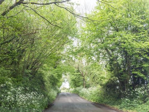 Létesítmények, 2 Bed in Wells 00452 in Ashwick