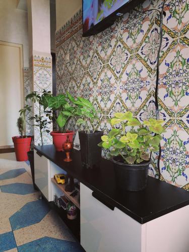 NOUR appartement in 부아르가니