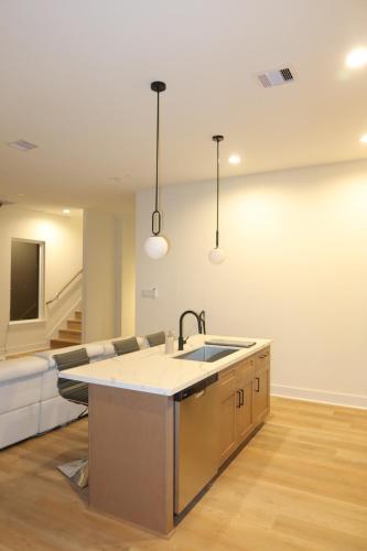 Luxury Home in Downtown Houston!