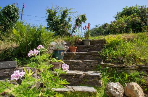 Bayvil Newport, Pembrokeshire in Velindre