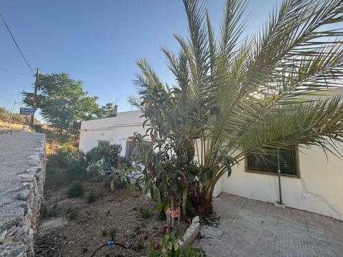 Leith Holiday Home in Ajloun