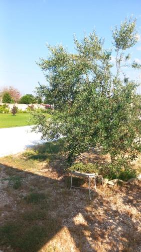 Casa Vacanze 9 Cavalieri in Maglie