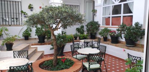 Hotel Los Olivos