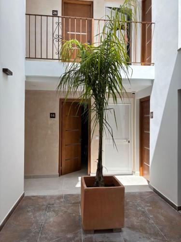 Alborada - main image