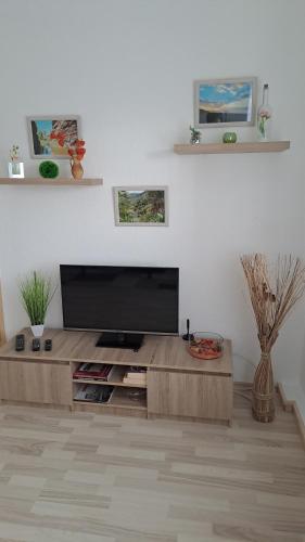 2-Raumwohnung in Dresden, Drážďany (fotografie 11)