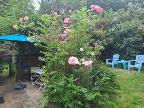 Penty La Houssaye in ปงติวี