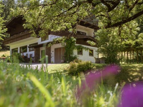 Apartment Studio Esche 1 by Interhome in Ellmau