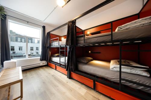 Shared room, female dormitory, 4 guests