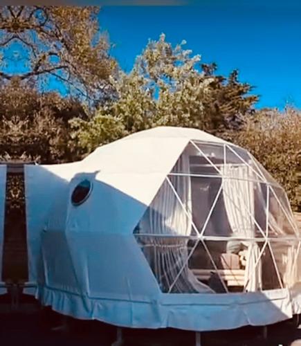 Camping - Saint-Hilaire-de-Riez -  - La bulle des coucous - Image #3