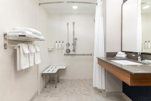 King Studio - Mobility Accessible with Roll-in Shower