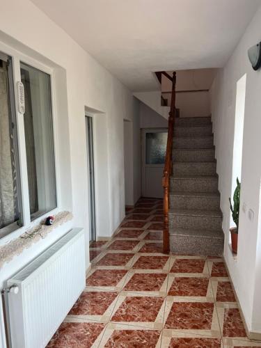 Vila Siminica in Turnu Severin